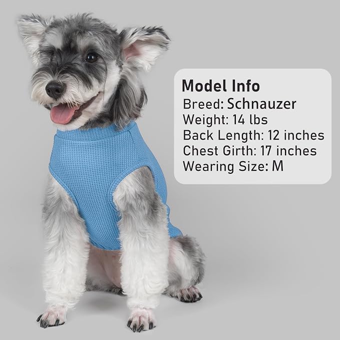 KYEESE 2Pack Waffle Dog Shirt for Large Dogs Striped Dog Sweater Tank Top | Cozy Warmth, Lightweight & Breathable, Gentle on Sensitive Skin, Stretchy & Free to Move, Comfortable Daily Wear