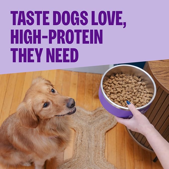 Wellness CORE Adult Dry Dog Food, Grain Free Kibble, Natural, High Protein, Lamb Recipe, 22 lb Bag