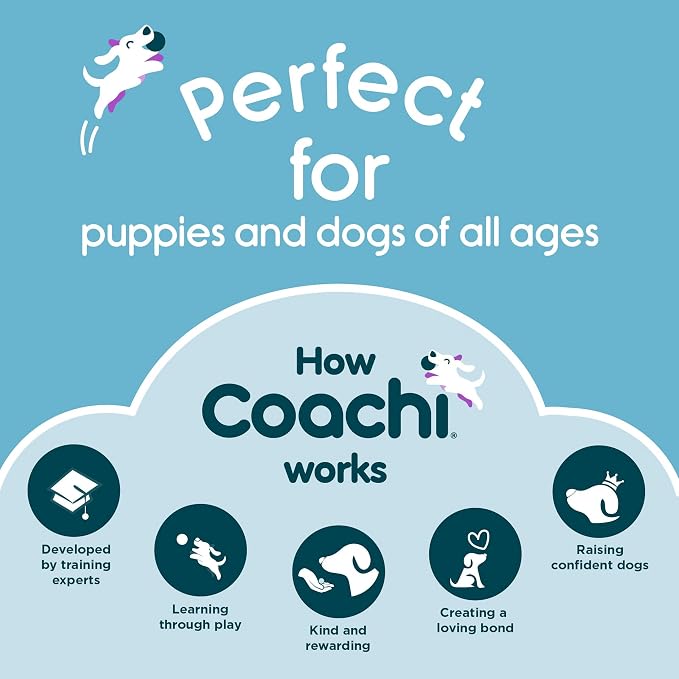 Coachi Tuggi Hide - Interactive Dog Toy for Tug of War & Play