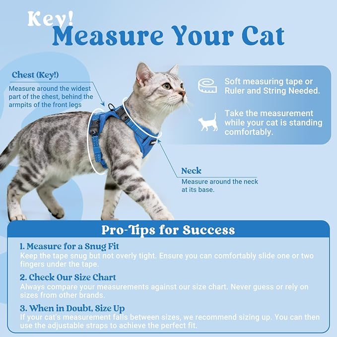 rabbitgoo Cat Harness and Leash, Easy-on with Neck Buckle, Royal Blue