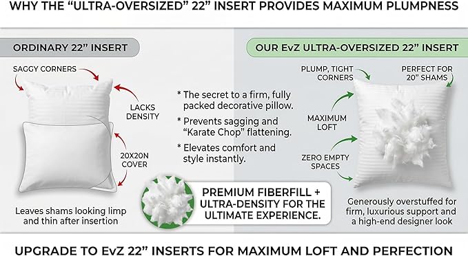 EvZ Premium 22x22 Pillow Insert (Single Pack) - Oversized Square Throw Pillow Form - Ultra-Dense Polyester Stuffer - Perfectly Fits 22x22 Covers with No Saggy Corners