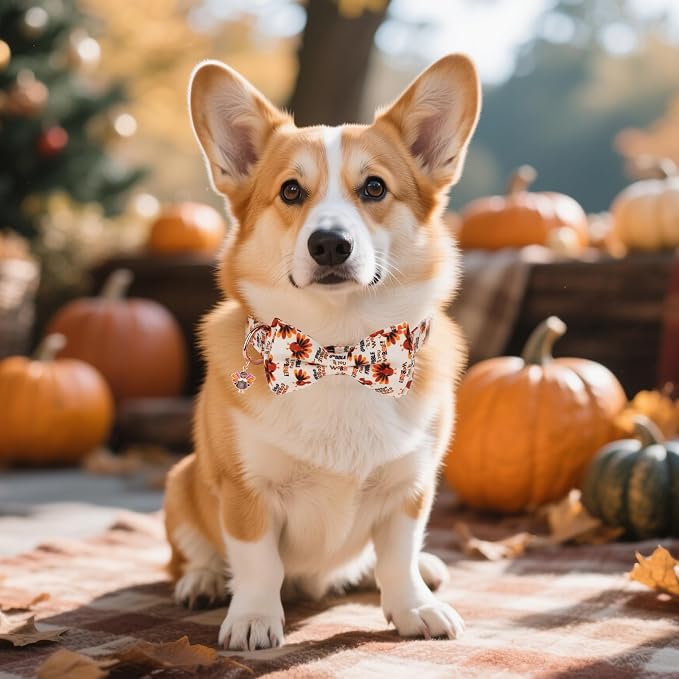 ADOGGYGO Thanksgiving Dog Collars with Bow, Gobble Turkey Pet Collar, XS