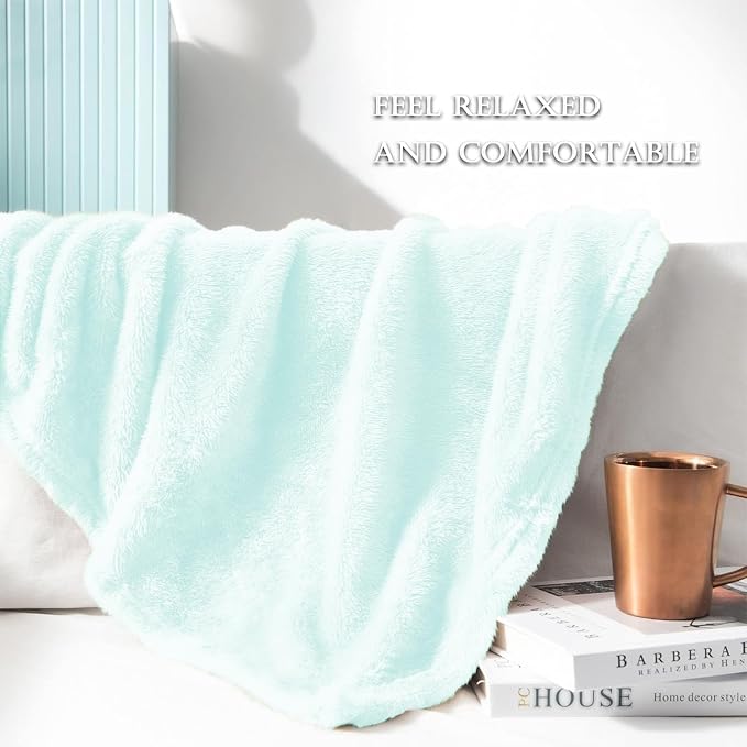 Exclusivo Mezcla Fuzzy Large Fleece Throw Blanket for Couch, Mint Green | 50x70 Inches, Super Soft and Cozy Throw, Plush Fluffy Blanket for Sofa, Bed, Bedroom, Home Decor, All Season