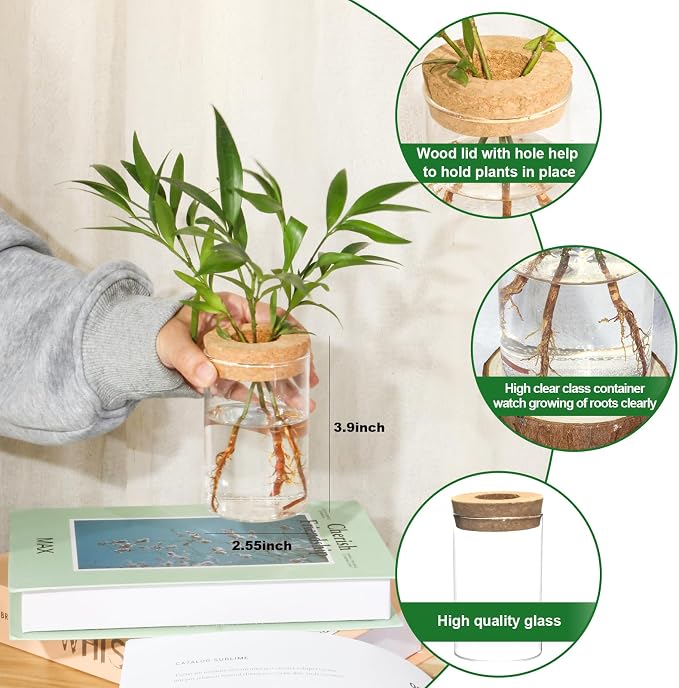 Separated Desktop Glass Flower Vases - Ideal Plants Propagation Stations for Living Room, Bedroom Decoration,Home Decor (2)