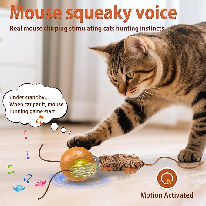 Oxawo Cat Toys Interactive Self Rolling Cat Balls Mouse