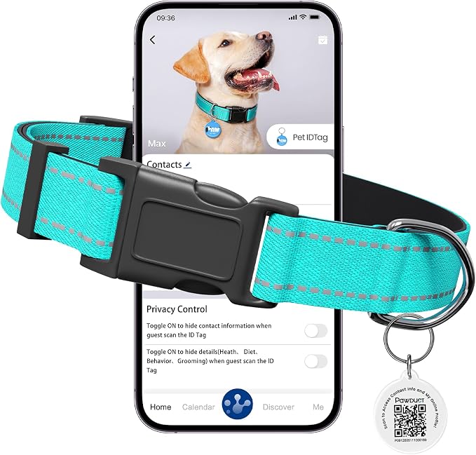 Personalized Dog Collar for Puppy with Smart ID Tag, Mint Green | Small Reflective Dog Collar, Quick Release Buckle, Adjustable and Comfortable Nylon Pet Collar, Lightweight for Boy Girl dogs