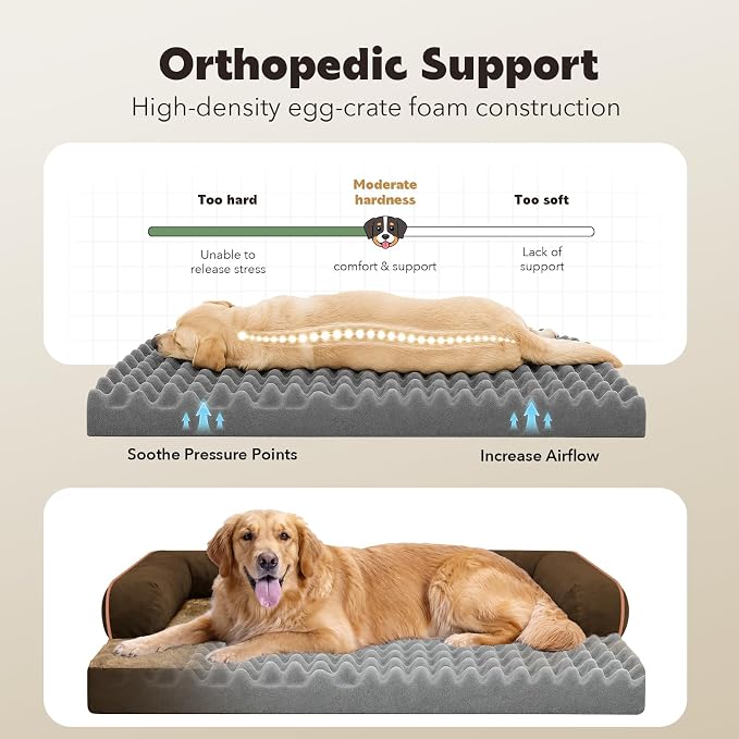 Orthopedic XL Dog Bed with Bolster for Extra Large Size Dogs | Pillow Support for Neck Relief, Egg Crate Foam, Skin-Friendly Surface, Waterproof Liner, Anti-Slip Bottom, 42 x 30 Inch