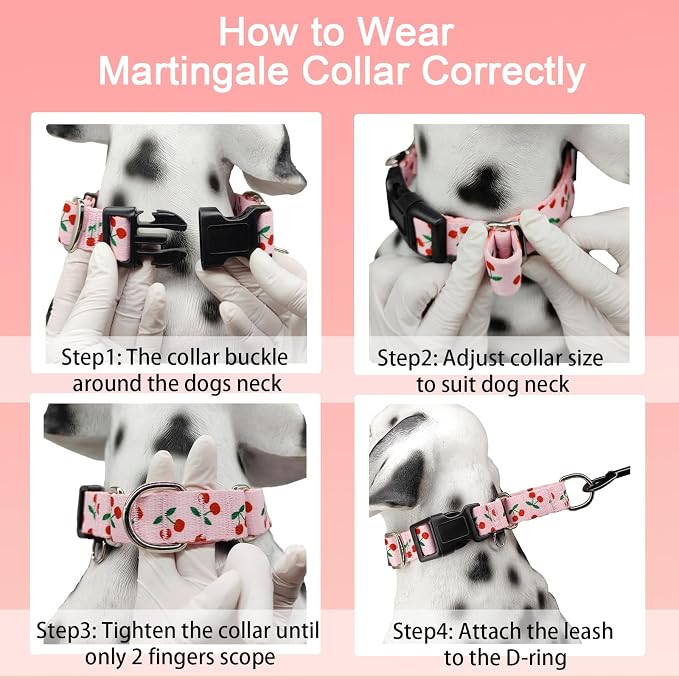 Martingale Dog Collar for Medium Dogs with Buckle No Pull Pink Girl Cute Dog Collars (Cherry, Medium)
