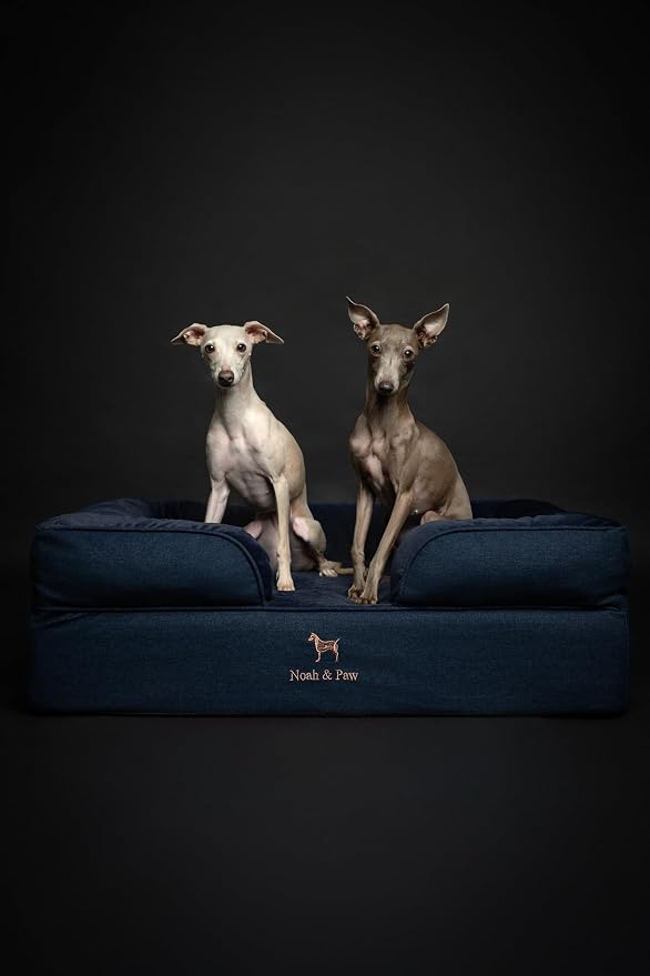 NOAH & PAW Large Dog Bed, 35x25x11 Inch, Orthopedic Dog Beds, Eggshell Memory Foam Infused with Cooling Gel, Inner Cover, Water Resistant, Machine Washable (Denim Sofa Collection)