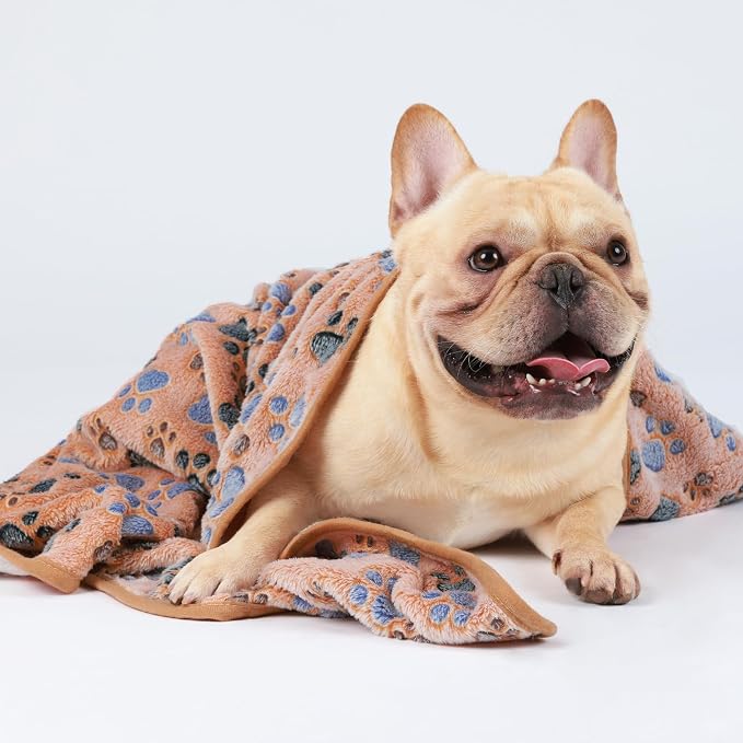 Luciphia Dog Blanket 3 Pack, Soft Cozy Fleece Throw for Puppy Cat,23"x16" | Fuzzy Flannel Small Pet Blanket Washable, Cute Paw Print for Crate Car Bed. Puppy Essential,Cat Stuff Gifts,Small