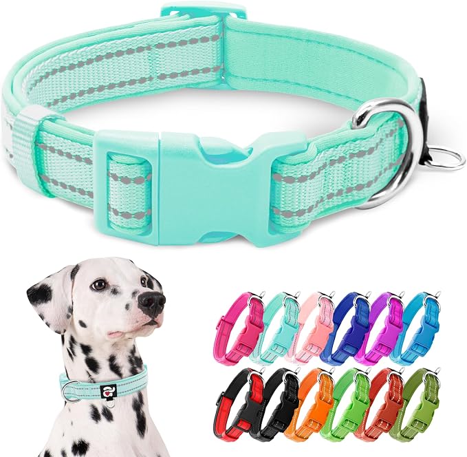 azuza Reflective Dog Collar, Neoprene Padded Large Dog Collar, Teal, L