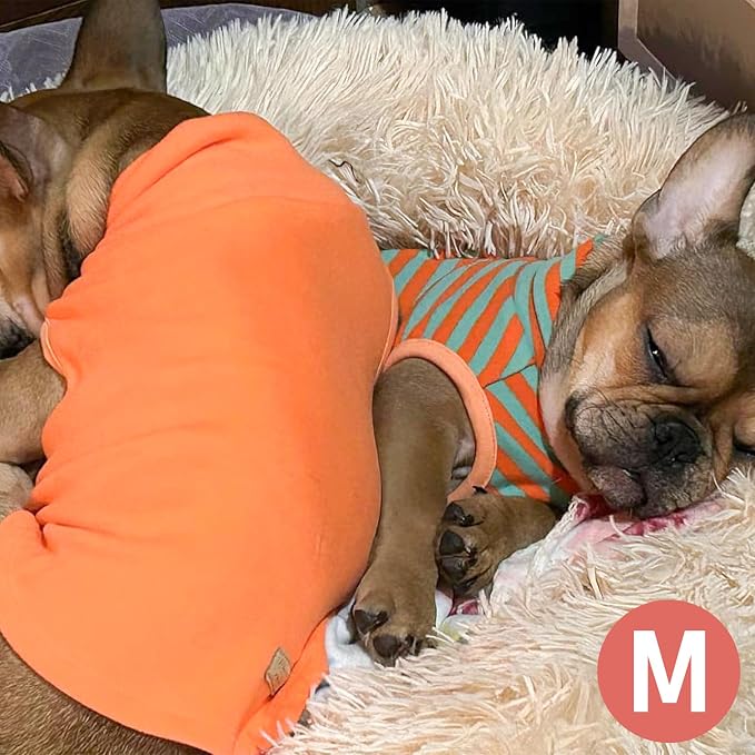 KYEESE 2Pack Dog Sweater for Small Dogs Soft Pet Coats Fleece Sweatshirt | Warm Turtleneck Dog Pullover Clothes, 4-Way Stretch & Lightweight Vest, Doggie Coat in Cold Weather, Daily Wear