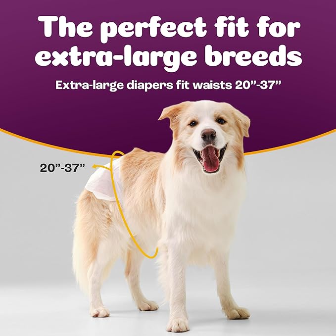Inspire Pet Care Dog Diapers Female Dogs | Bulk Value Doggie Incontinence | For Heat, Pee or Period and Housebreaking