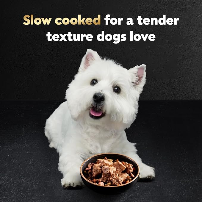 Cesar Loaf in Sauce Wet Dog Food Rotisserie Chicken,Filet Mignon,Angus Beef,and Ham & Egg Flavors Variety Pack,Wet Food for Dogs,3.5 oz Easy Peel Trays,24 Count (Pack of 2)