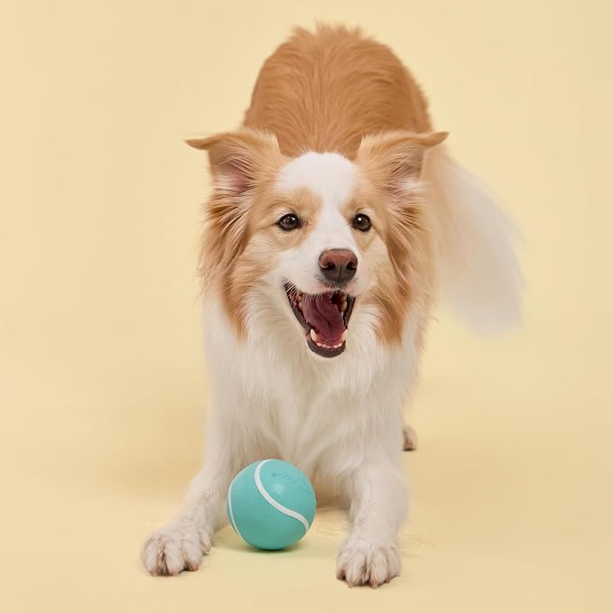 Playology Squeaky Chew Ball for Large Dogs - Jumbo, Peanut Butter Scent