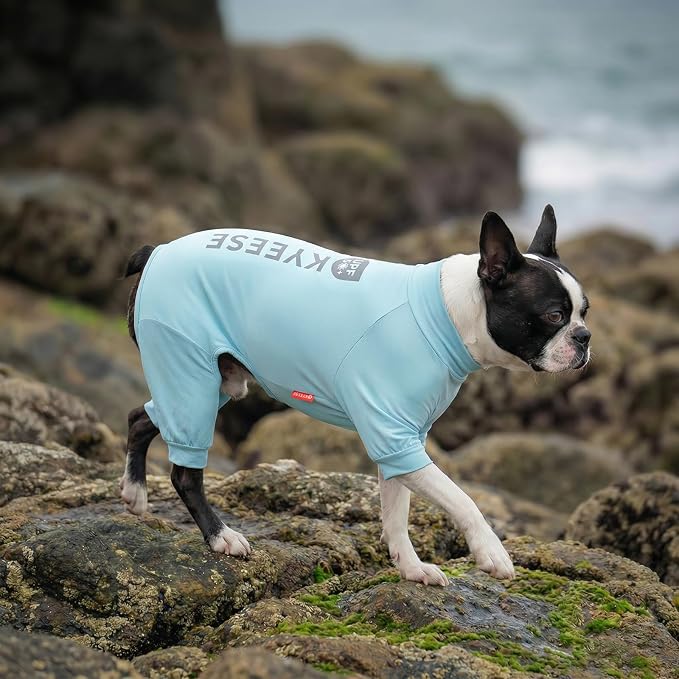 KYEESE UPF50+ Dog Sun Shirt for Small Dogs Cooling Onesie for UV Protection | Cooling Breathable Fabric, Reflective Design, Shedding Control, Skin-Friendly for Sensitive Dogs, Easy On/Off, Quick Dry