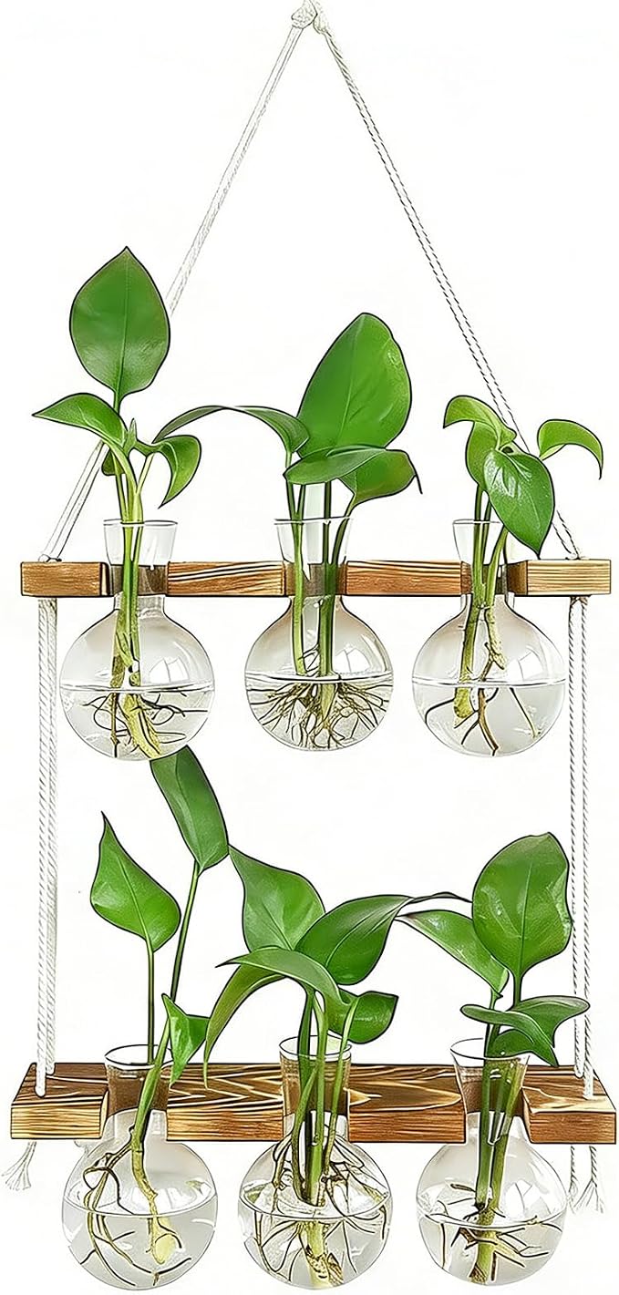 Plant Propagation Station Wall Hanging with 2 Tiered Wooden Stand | Plant Terrarium for Hydroponics Plants, Unique Gardening Gifts for Women Mom Plants Lovers - 6 Bulb Glass Vases