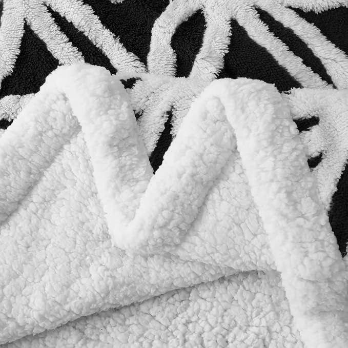 LOMAO Sherpa Fleece Blanket Fuzzy Soft Throw Blanket Dual Sided Blanket for Couch Sofa Bed (Black, 60''x80'')