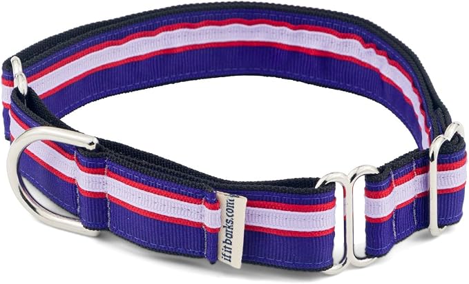 If It Barks 1" Martingale Collar Handmade OC Stripe, Small, Jelly