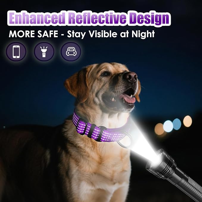 Martingale Dog Collar, Reflective No Pull with Buckle,Purple, XS