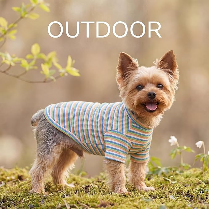 2Pack Soft Dog Shirt for Small Medium Dogs, Breathable Pet Clothes, Comfort Solution for Puppy Girl Boy, Stretchy Cotton Dog Tshirts, Fits Beagles, Dachshund, Bichon, Pink & Green-L