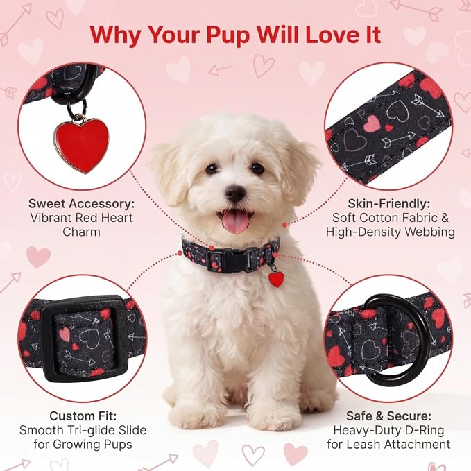 Medium Dog Collar, Dog Collar for Medium Dogs with Red Hearts, Pet Collar Boy with Charm and Buckle, Adjustable for Female, Male Dogs