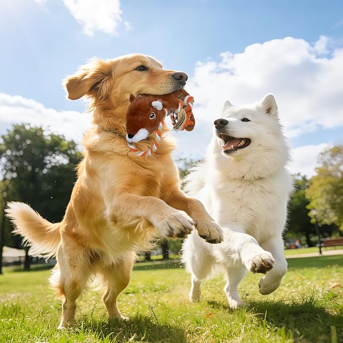 No Stuffing Rope 5-Pack Dog Toys, Chew Toys for Medium, Large Pets