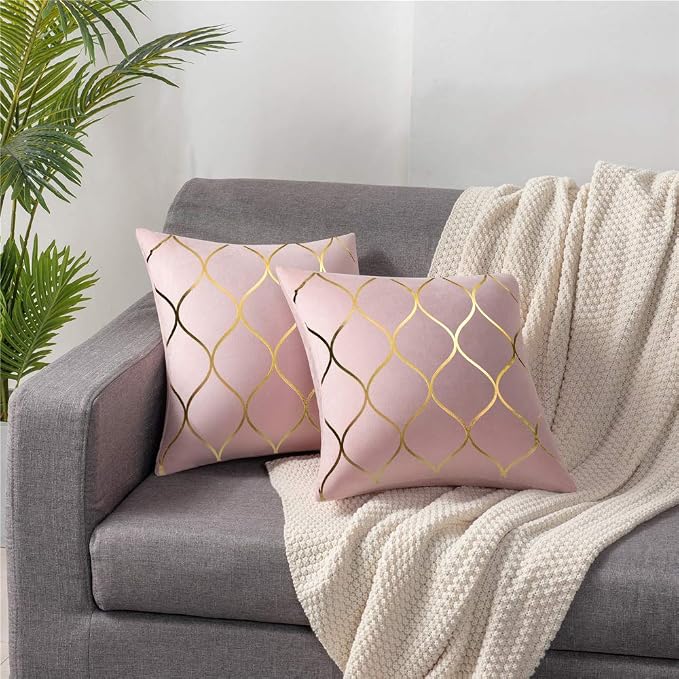 Gold Velvet Throw Pillow Covers: 2 Pack 22x22 Inch Square Decorative Pillow Cases for Bedroom Sofa Couch Living Room, Pink