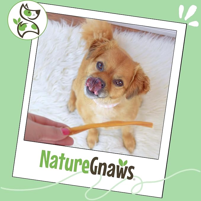Nature Gnaws Small Bully Sticks 5-6" Rawhide Free Dog Chews, 5 Count | Long Lasting for Light Chewers and Puppies - Natural Thin Beef Dog Chew Bones - No Artificial Preservatives