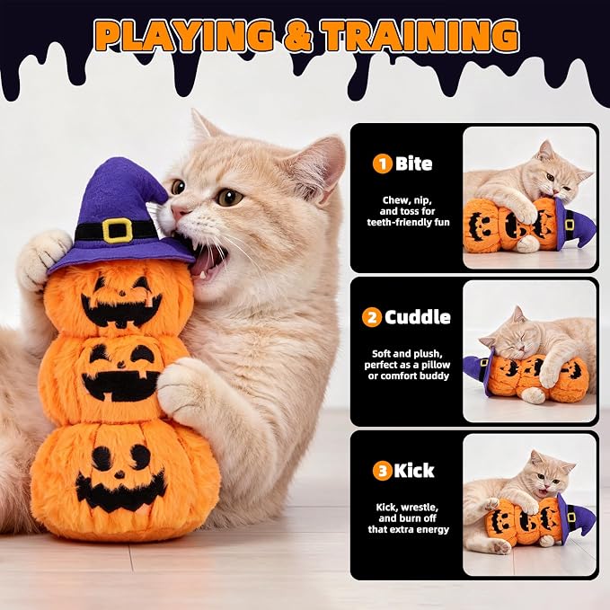 PUPTECK Halloween Catnip Cat Toys, Interactive for Kittens Indoor