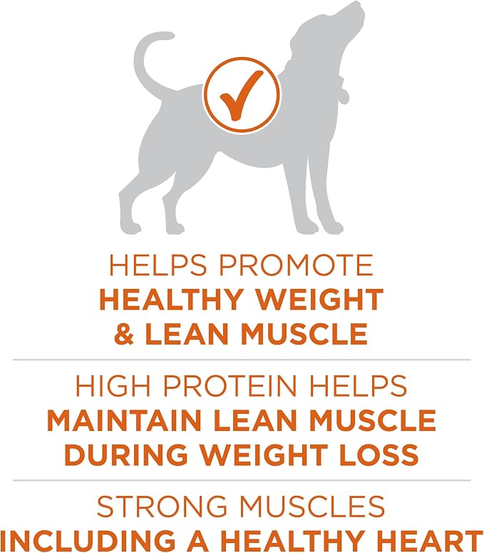 Purina ONE Plus Healthy Weight Dry Dog Food, Real Turkey, 8 lb Bag | High protein dog food for weight control with turkey as the first ingredient, helps promote healthy weight and lean muscle