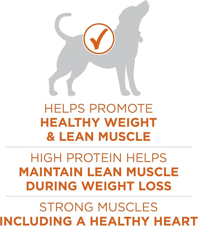 Purina ONE Plus Healthy Weight Dry Dog Food, Real Turkey, 16.5 lb Bag | High protein dog food for weight control with turkey as the first ingredient, helps promote healthy weight and lean muscle