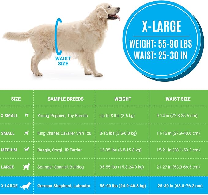 Bodhi Dog Disposable Male Dog Diapers - Super Absorbent, Leak-Proof Pee Wraps - Adjustable Fit, Comfortable Design, Advanced Moisture Control, and Wetness Indicator - Extra Large (20 Count)