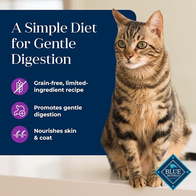 Blue Buffalo Basics Turkey Adult Grain-Free Wet Cat Food, 5.5 oz, 24 ct | Skin & Stomach Care, Real Turkey #1 Ingredient, Limited Ingredient Diet, Antioxidant-Rich LifeSource Bits, Skin & Coat Health