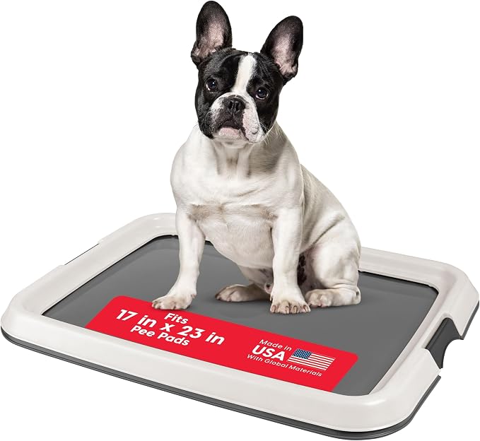 IRIS USA Pee Pad Holder, Fits 17x23 Pads, Dark Gray, Made in USA | Dog Training Pad Holder, Holds Pads in Place, Leakproof Design, Secure Latches, Non-Skid Feet, Easy Clean Surface