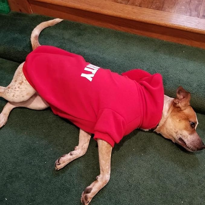 BINGPET Security Dog Hoodie, Pet Sweater Clothes with Leash Hole, Red | Warm Dog Sweatshirt for Small Medium Large Dogs, All-Season Cold Weather Comfort & Fit, Soft Winter Hooded Pullover Outfit