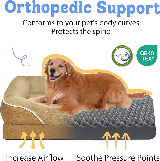 Orthopedic Waterproof Dog Bed for Medium and Large Dogs | Egg Crate Foam, 4-Sided Bolster Support, Waterproof Liner, Non-Slip Bottom, Removable Bolster Cover, 36 x 27 Inch