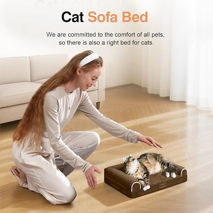 Orthopedic Dog Bed for Small Dogs, 20 x 14 Inch, Dark Coffee | Egg crate foam for joint support, 3-sided bolster pet sofa, waterproof lining, washable cover, and non-skid base