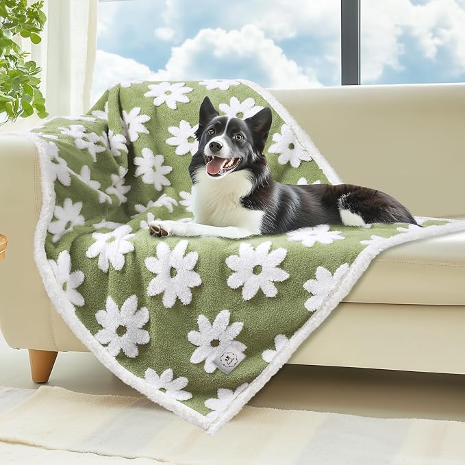 Luciphia Waterproof Dog Blanket for Small Dogs Cats Soft Reversible Fleece | Puppy Pet Blanket, Indoor Cats, Washable Cute Cozy Throw, Bed Cover, Couch Furniture Protector Gift(57" x 40", Green)