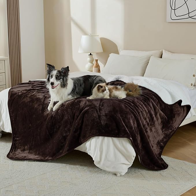 Soft Waterproof Blanket for Bed Couch Sofa, Brown, 60x80 inches | Liquid Pee Proof Pet Blanket for Dog Puppy Cat, Reversible Sherpa Fleece Blanket for Couch Cover, Furniture Protector