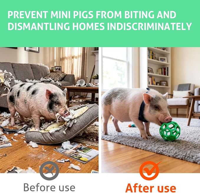 2-Pack Pig Treat Ball Toy – Chew Feed Ball with Hanging Rope