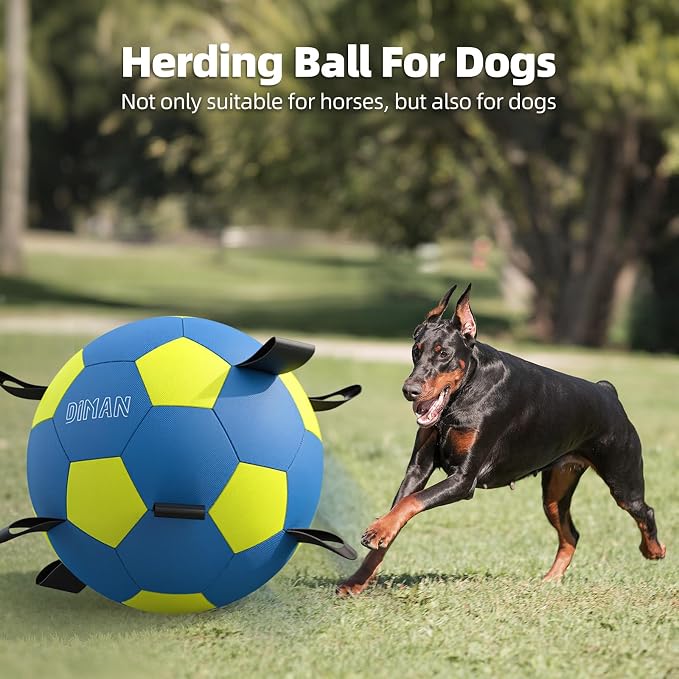 Diman Herding Ball for Dogs with Straps, 25 Inch Horse Balls for Outdoor