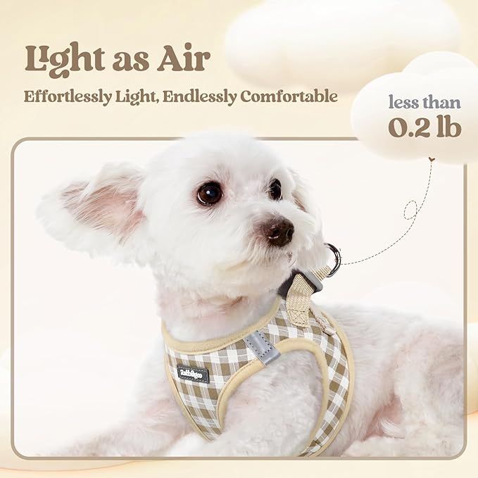 rabbitgoo Dog Harness Small Sized and Leash Set, Step-in Puppy Pet Vest | Light, Soft, Breathable Air Mesh, Easy on and Remove with Hook & Loop, Secure Reflective for Walking, Beige Check XS