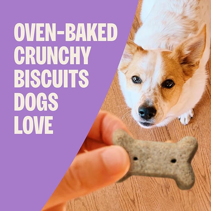 Wellness Old Mother Hubbard Classic Bac'N'Cheez Dog Biscuits, Natural Training Treats, Bacon and Cheese Flavor, Small Size, 20 oz Bag