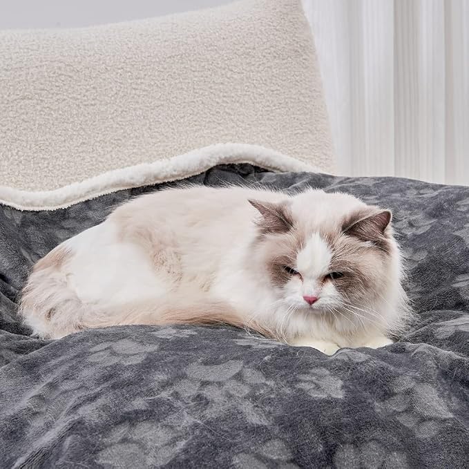 Pet Blankets for Cats - Waterproof Cat Blanket Washable - Sherpa Fleece Puppy Blanket, Soft Plush Reversible Throw Protector for Bed Couch Car Sofa, 25"X30", Dark Grey