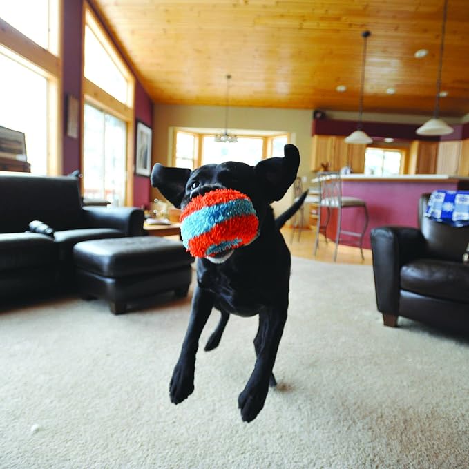 Chuckit! Indoor Fetch Roller Toy for Dogs - Interactive Dog Toys for Boredom, Orange and Blue 4.7 inches (Pack of 12)