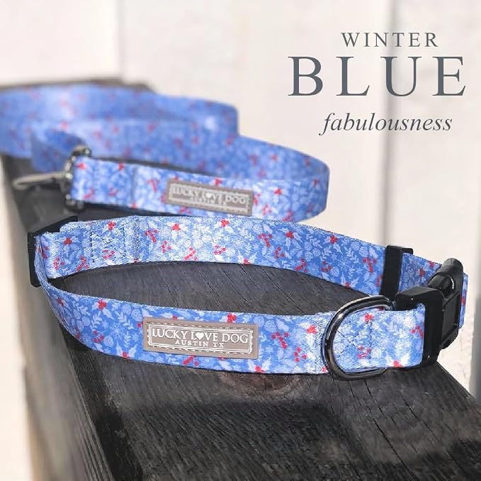 Lucky Love Dog Martingale Collar for Small Dogs Cute – Winter Blue, Small