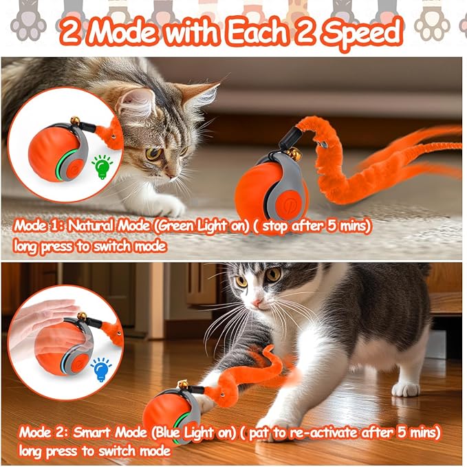 Mity rain Interactive Cat Toy Ball, Rechargeable Cat Toys for Indoor Cats