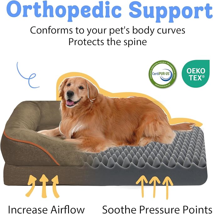 Orthopedic Washable XXL Dog Bed for Extra Large Dogs | Egg Crate Foam, 4-Sided Bolster Support, Waterproof Liner, Non-Slip Bottom, Removable Bolster Cover, 45 x 35 Inch