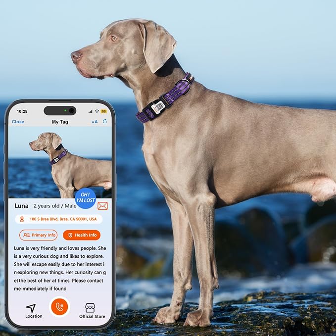 Personalized Dog Collar with QR Code Dog Tag, Purple S | Anti-lost, 1000D nylon, reflective, padded, XS-L(8"-24"), QR buckle shares lost pet profile, location alerts when scanned